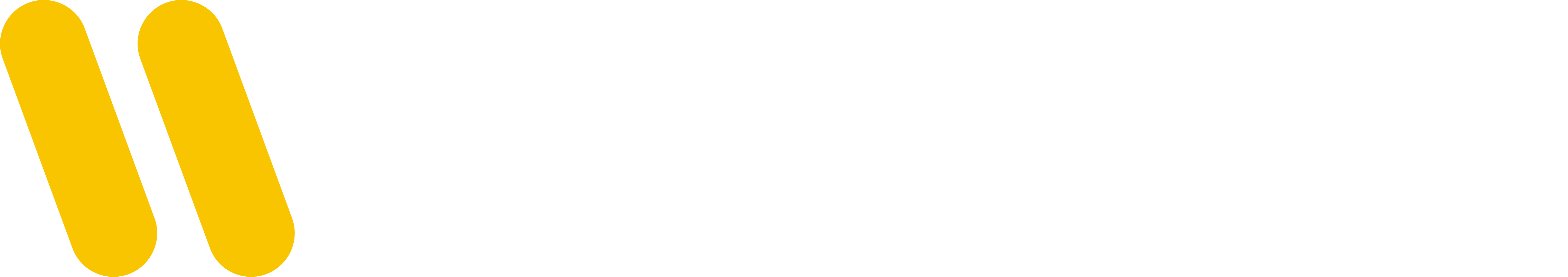Niehhues Consulting. Effizienz Delivery