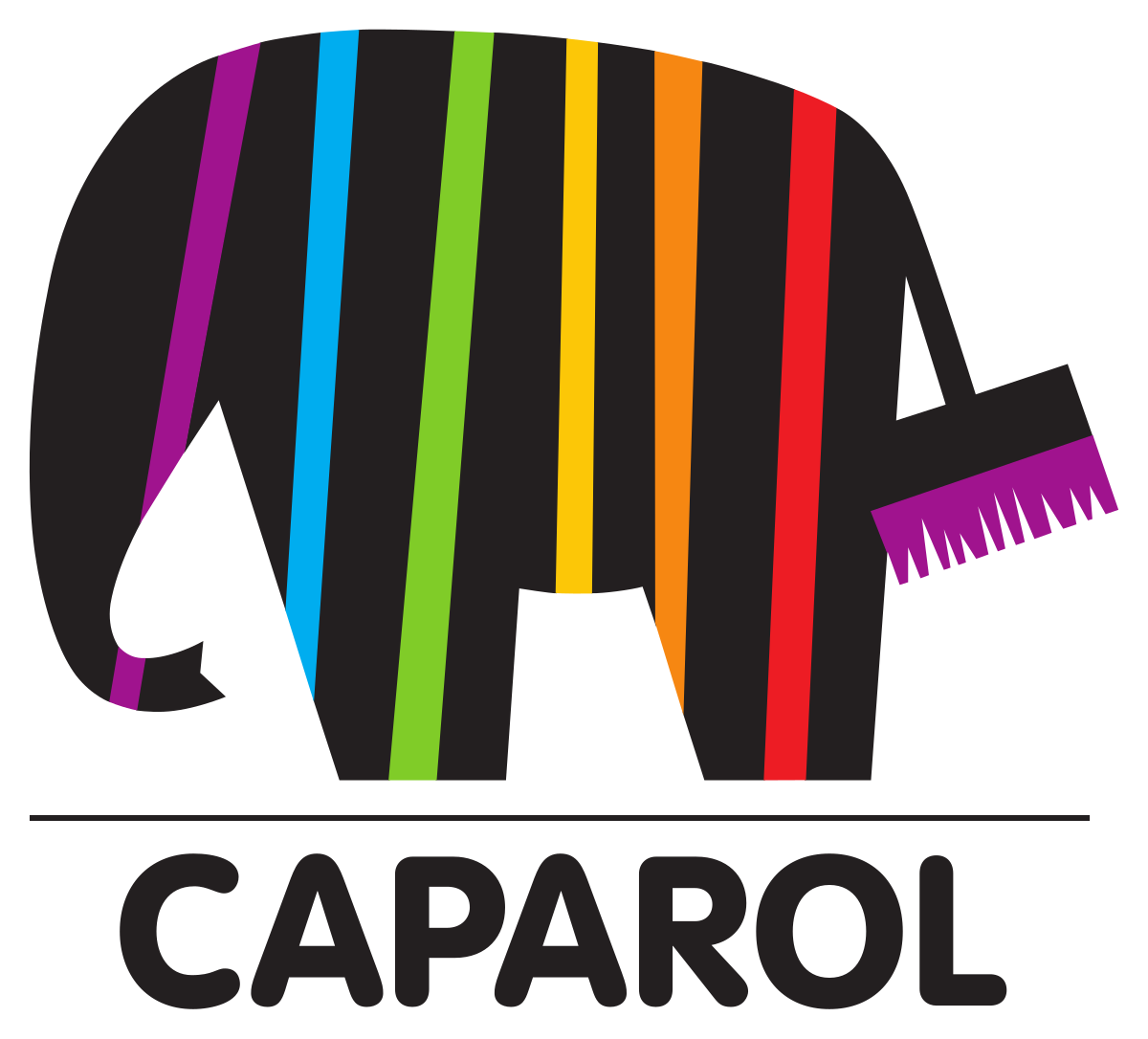 Partner - Caparol