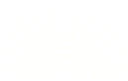 outdoor fotoshooting