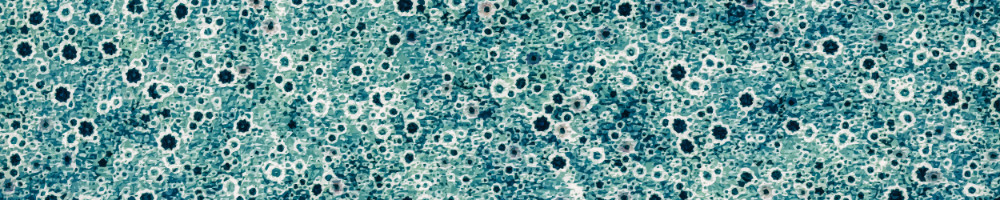 The Kiss of Autumn Night