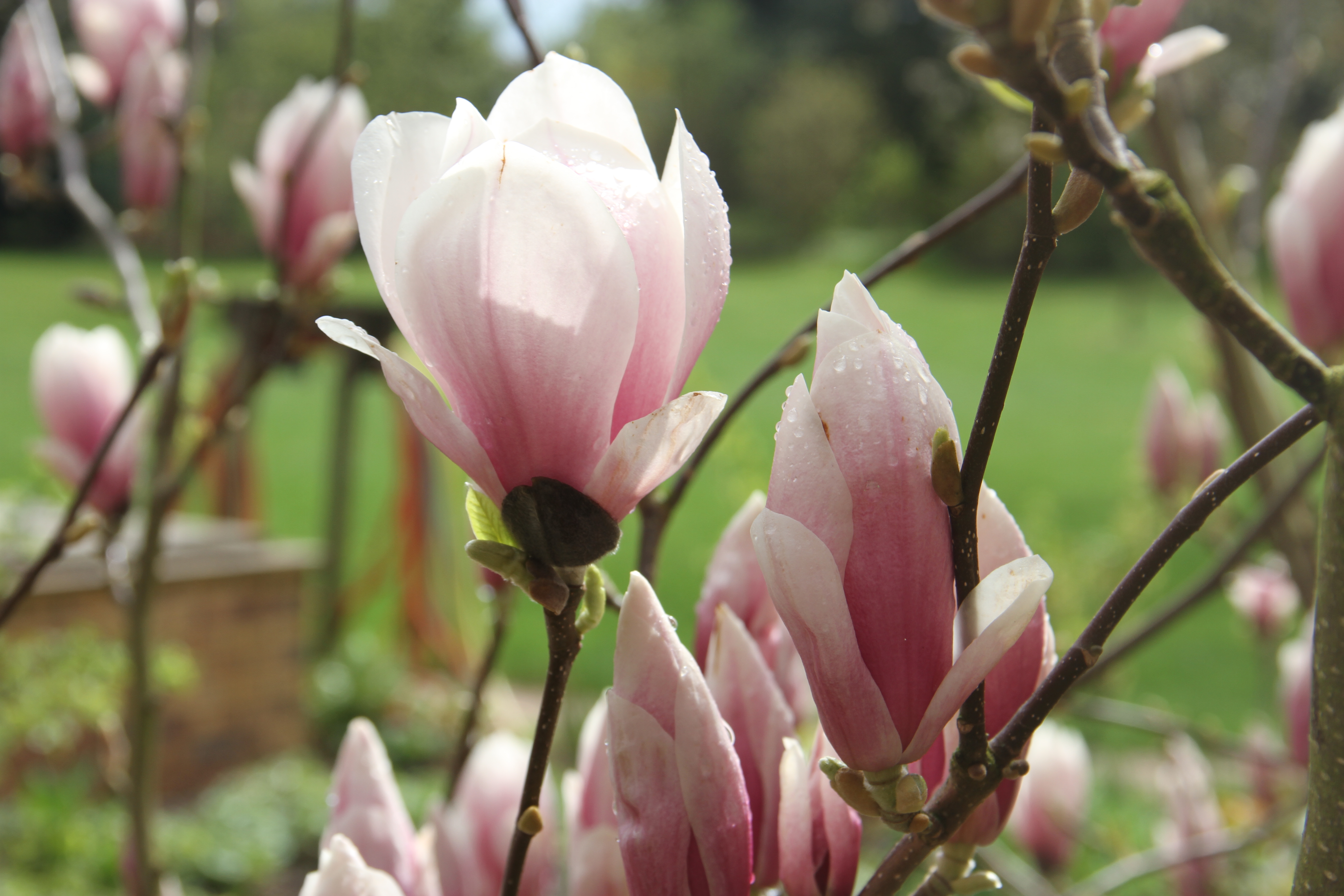 Borstel Treff - Ostern