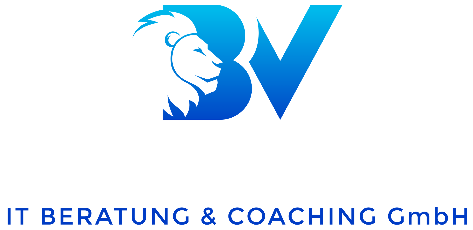 Brave Vision GmbH - Logo