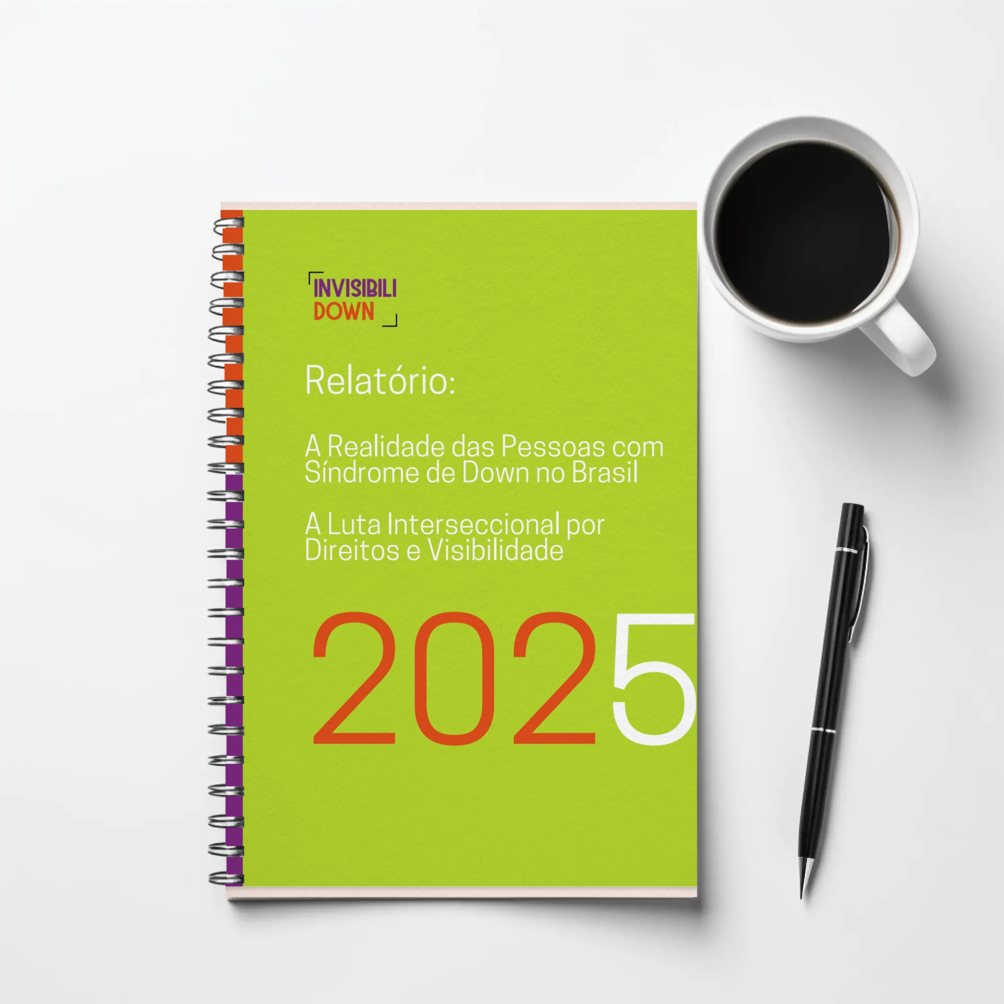 Capa do Relatório 'A Realidade das Pessoas com Síndrome de Down no Brasil'