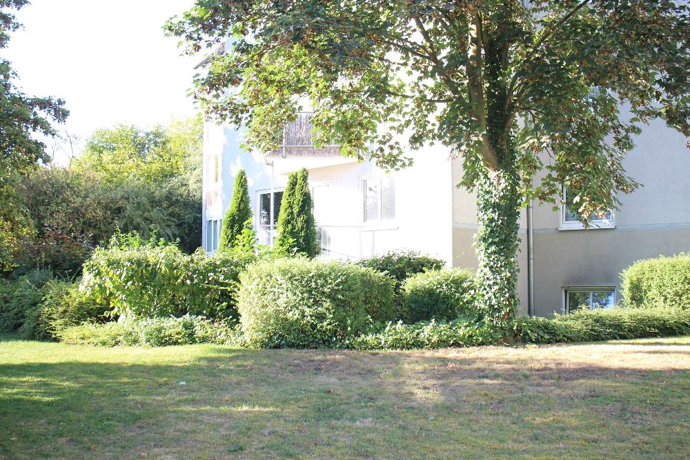 Mehrfamilienwohnhaus mit Hecke und Baum