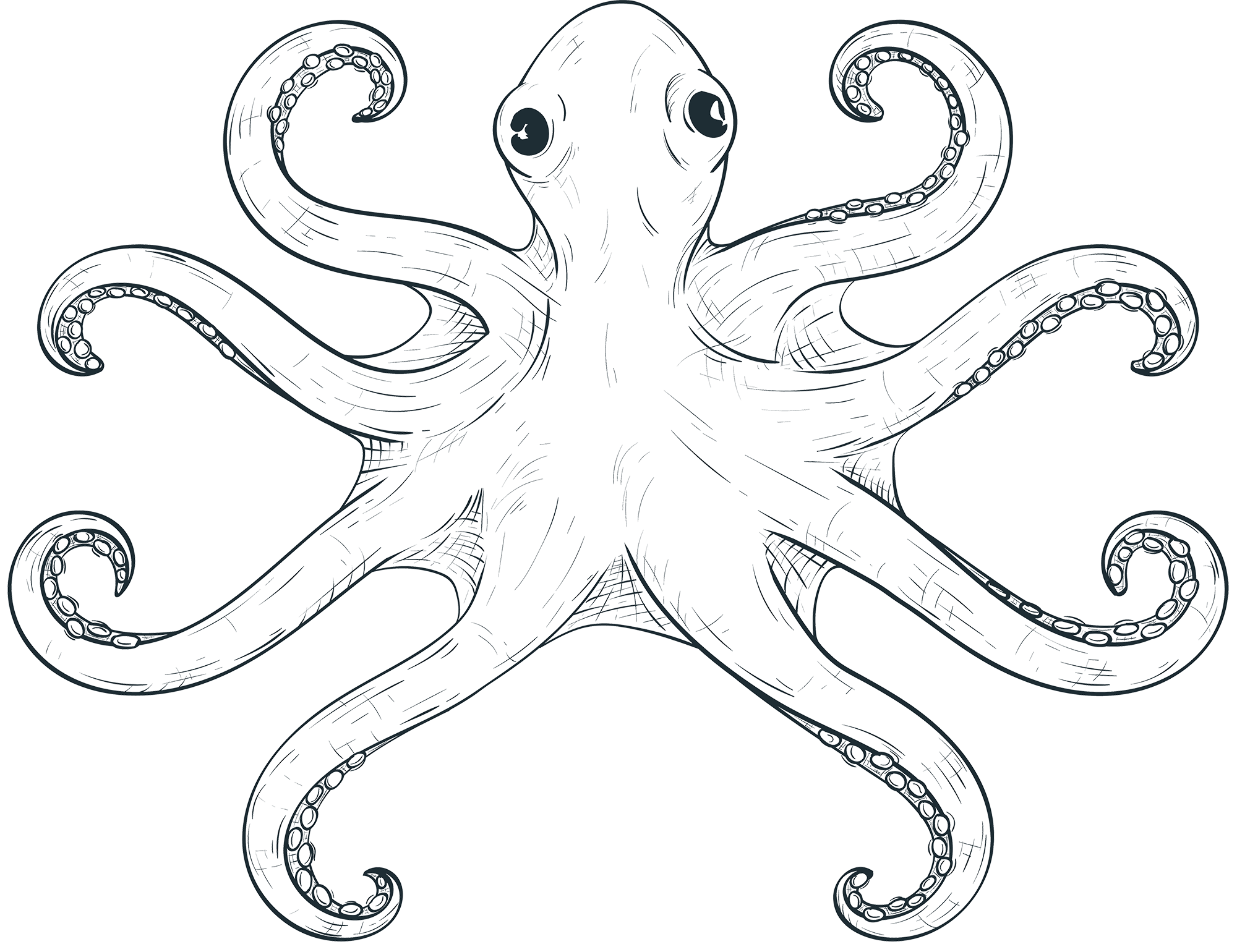 Schiffs Ruder Illustration