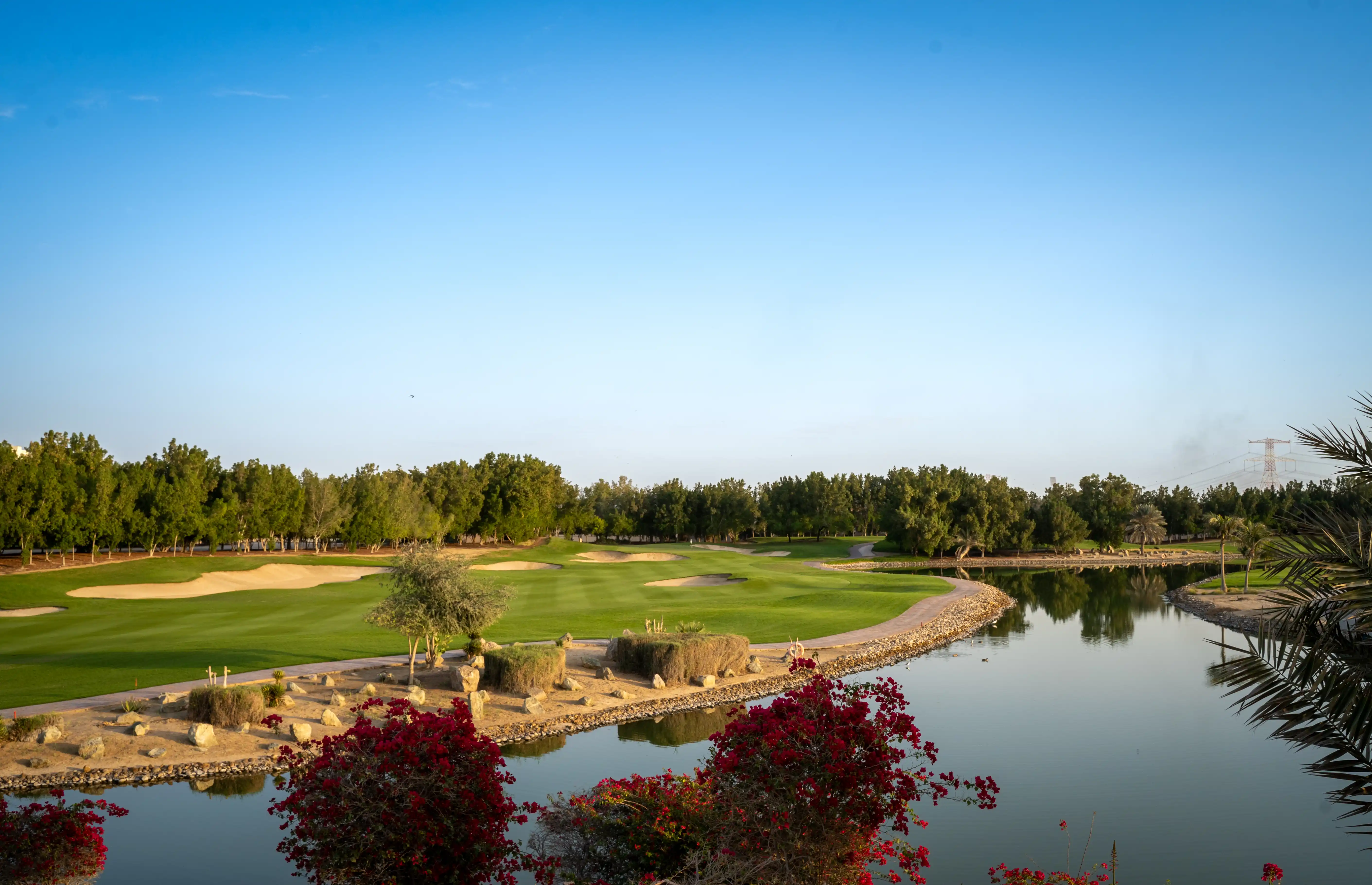 Golfplatz mit Teich und Palmen in den Vereinigten Arabischen Emirate