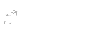 BNP Paribas