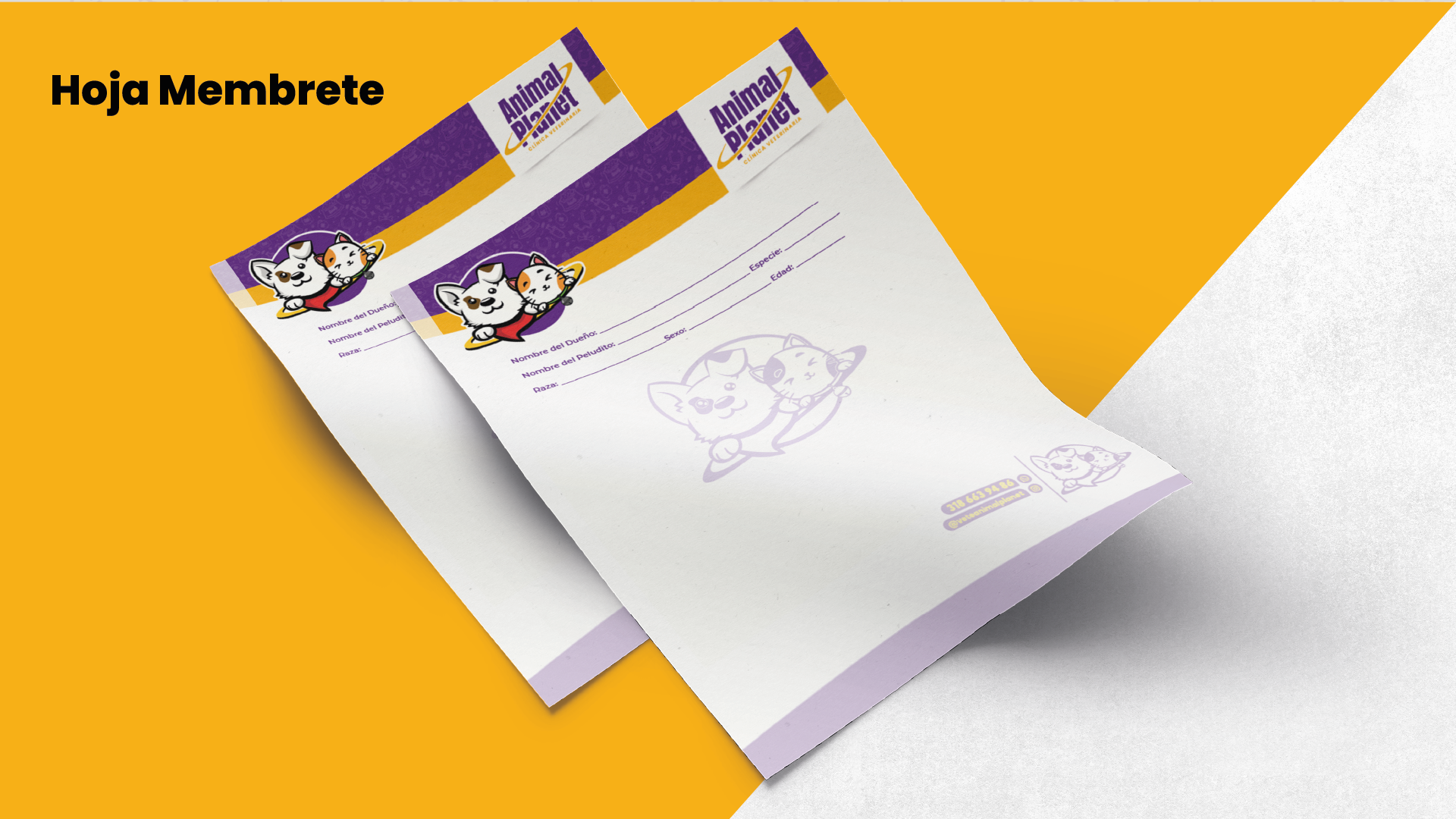 Identidad visual