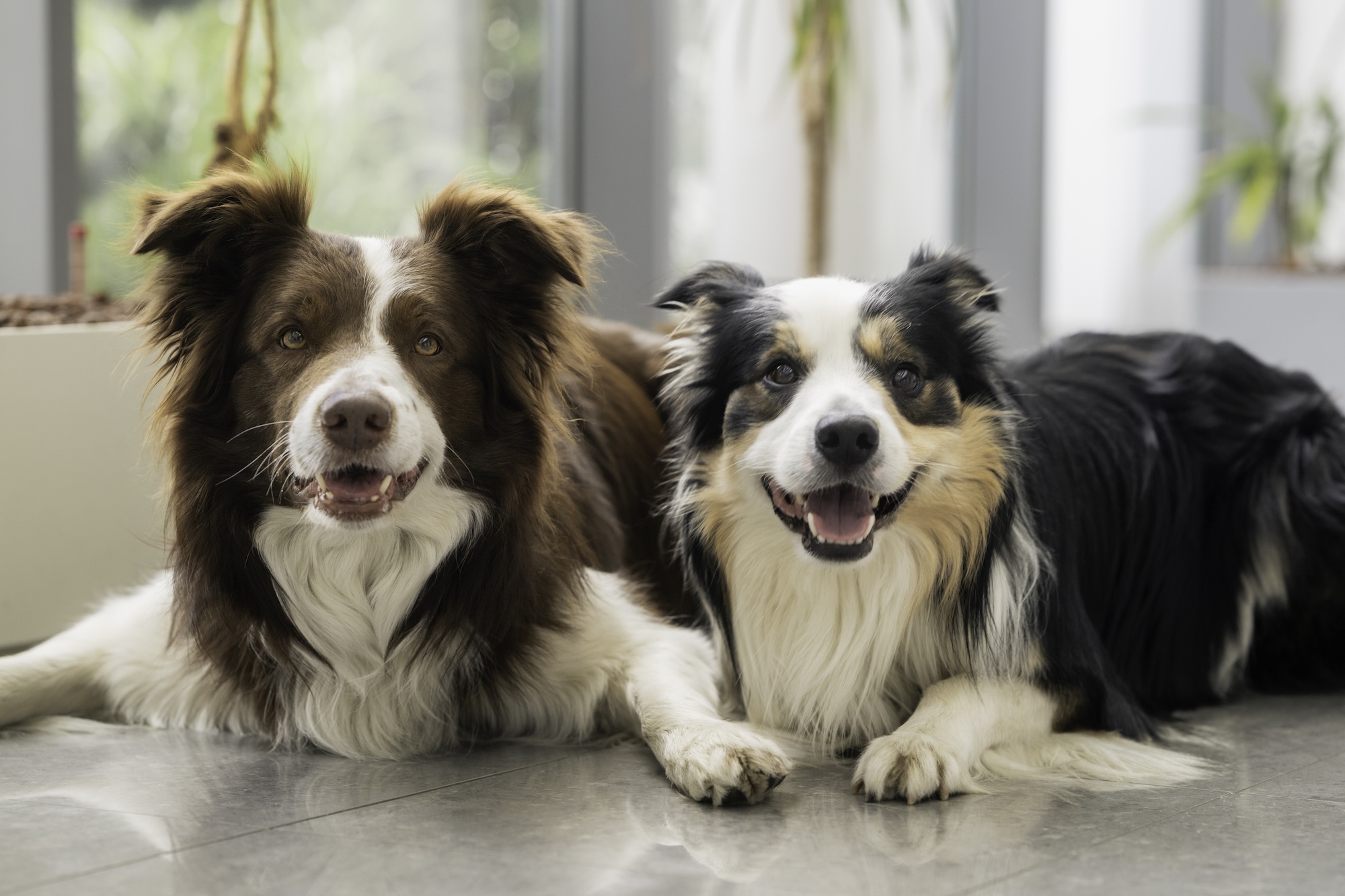 Mitarbeiterfoto A vita amatus Akademie