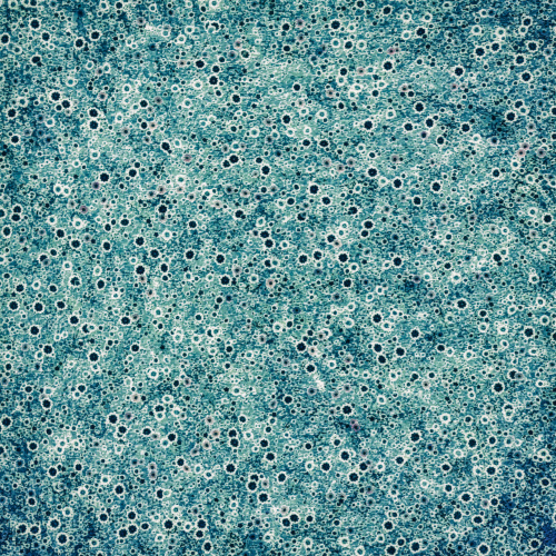 The Kiss of Autumn Night