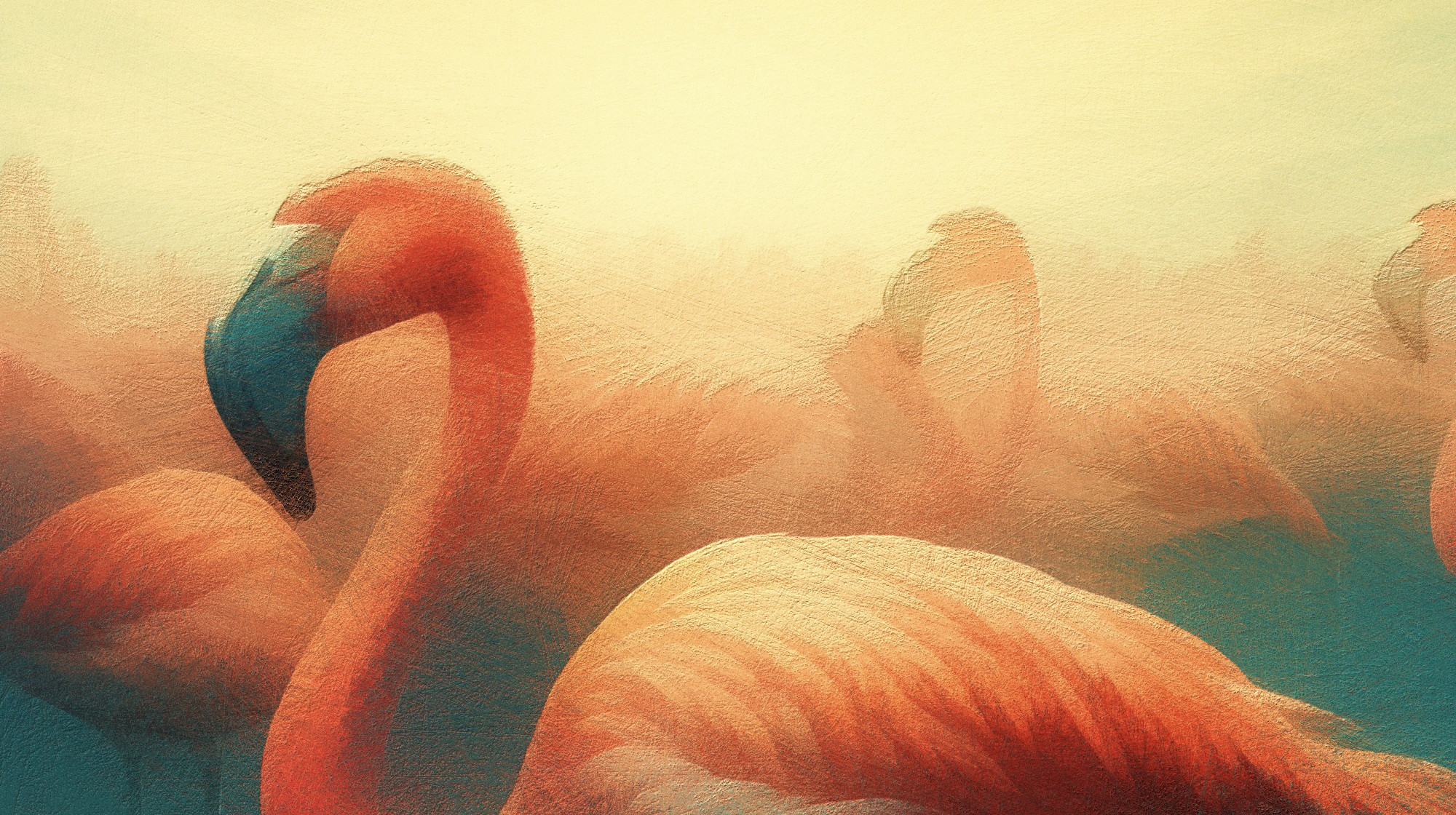 Flamingos Water And Sky Extract