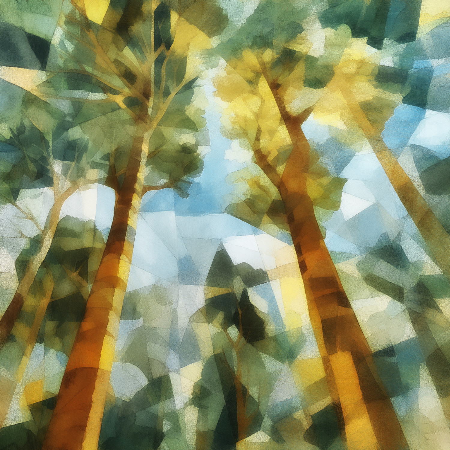 Woodland
