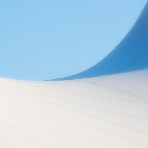 The Line That Divides Us