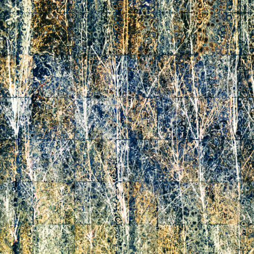 Rain and Aspen Through My Window Pain