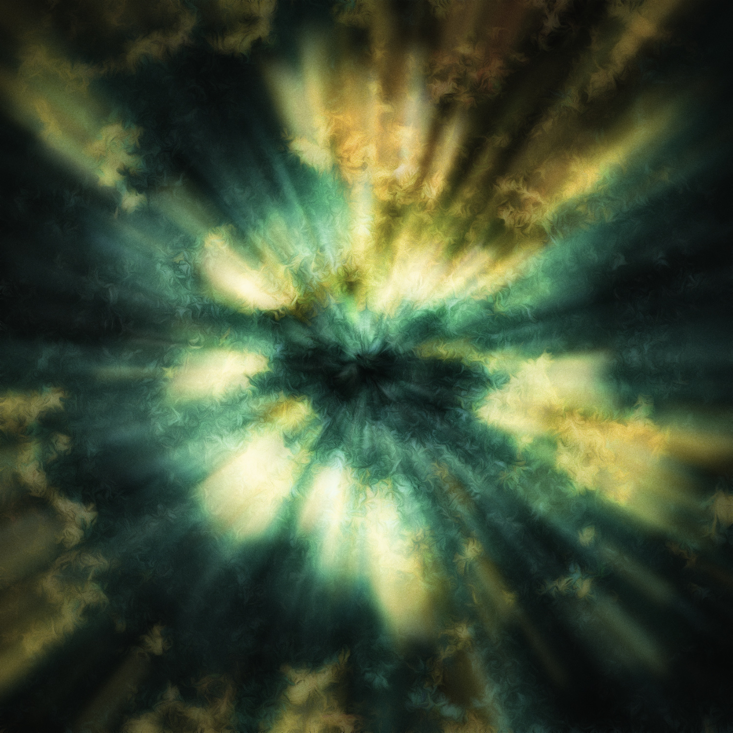 Awash With Morning Light