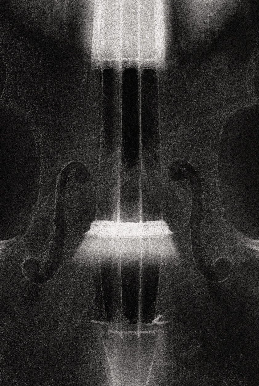 Stradivarius Liberatus Extract