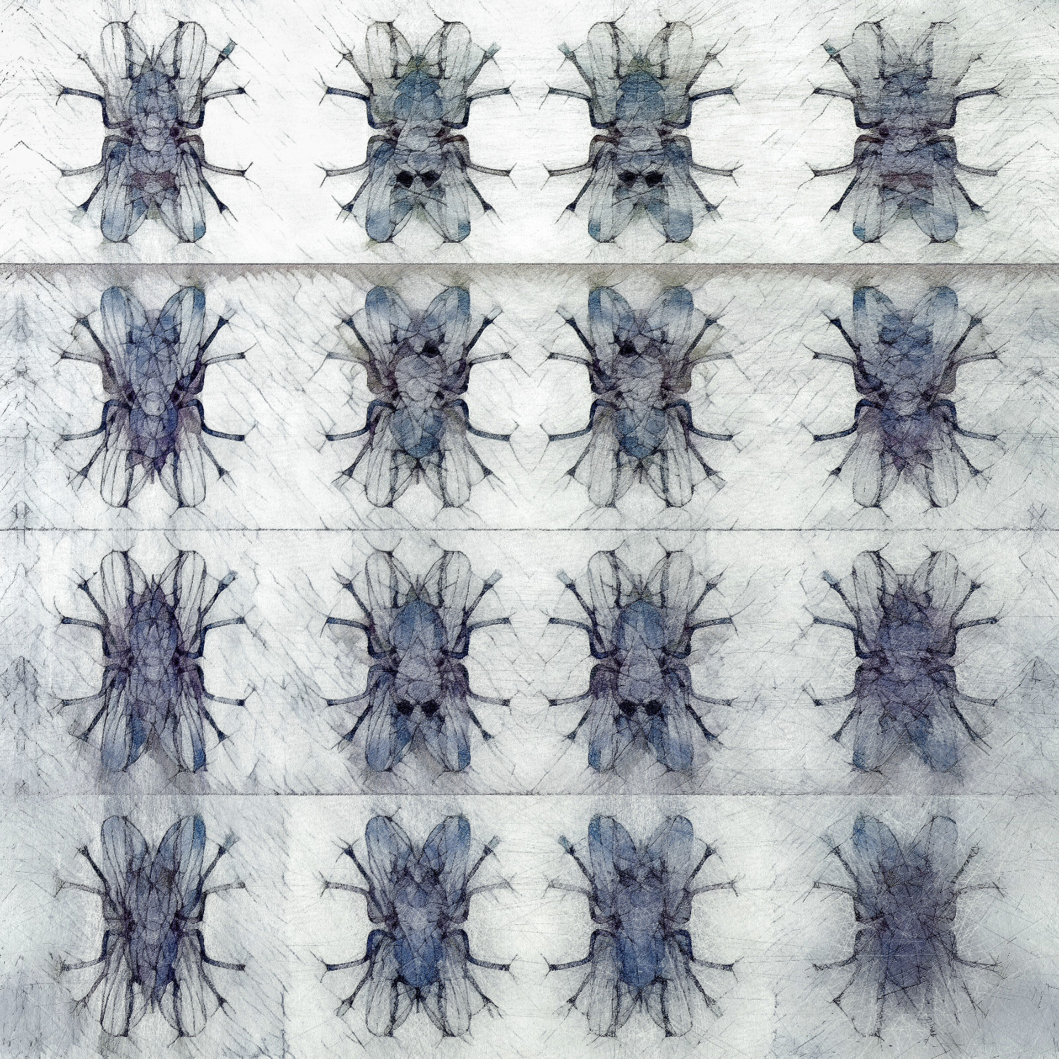 Fly Paper