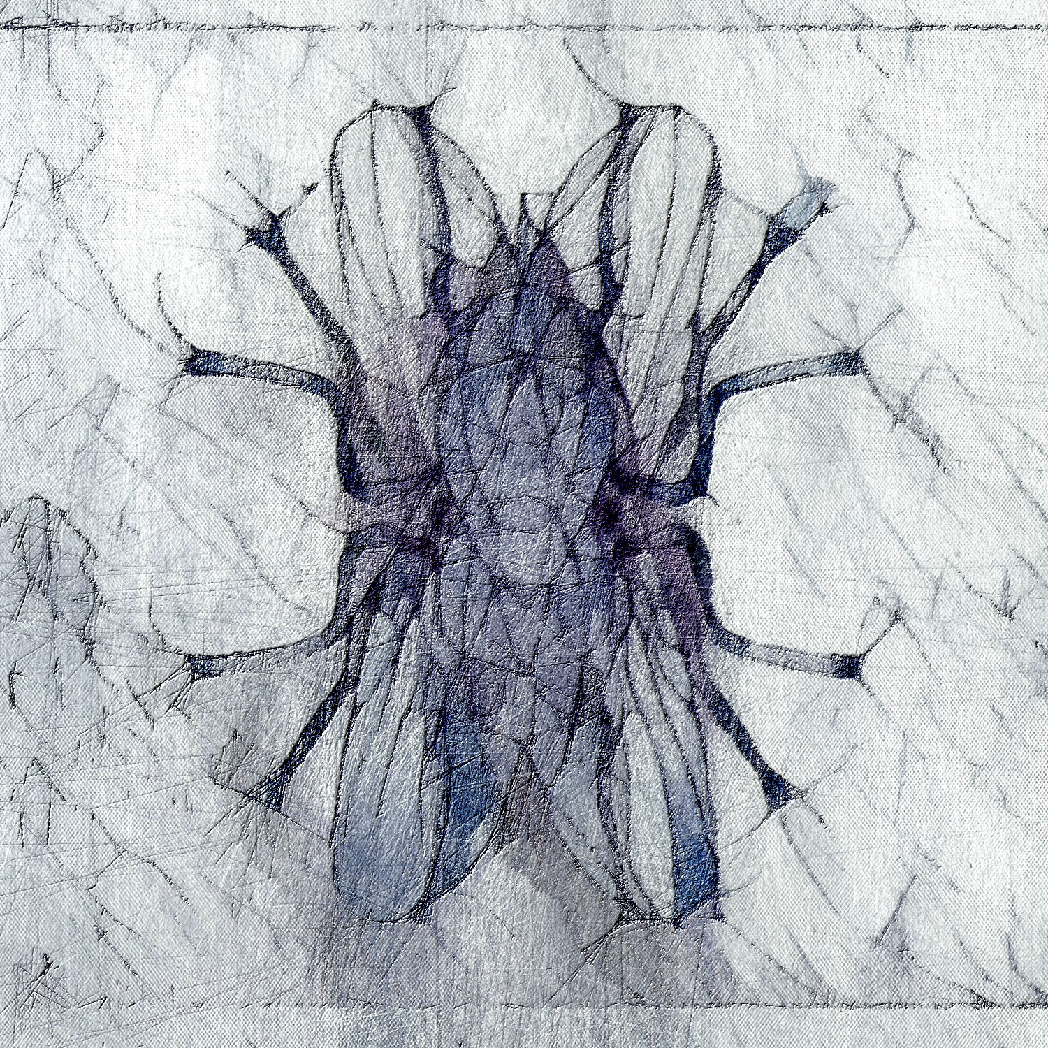 Fly Paper Extract