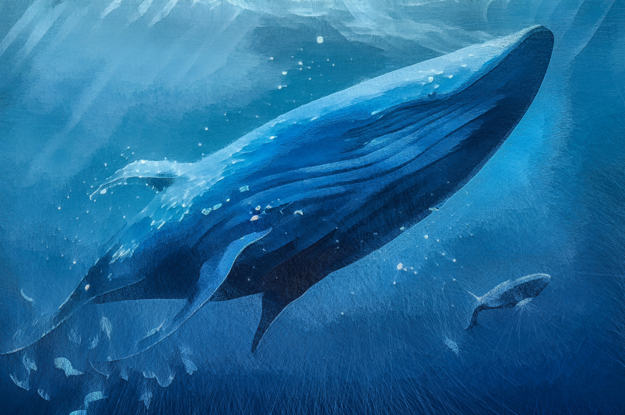 The Whale