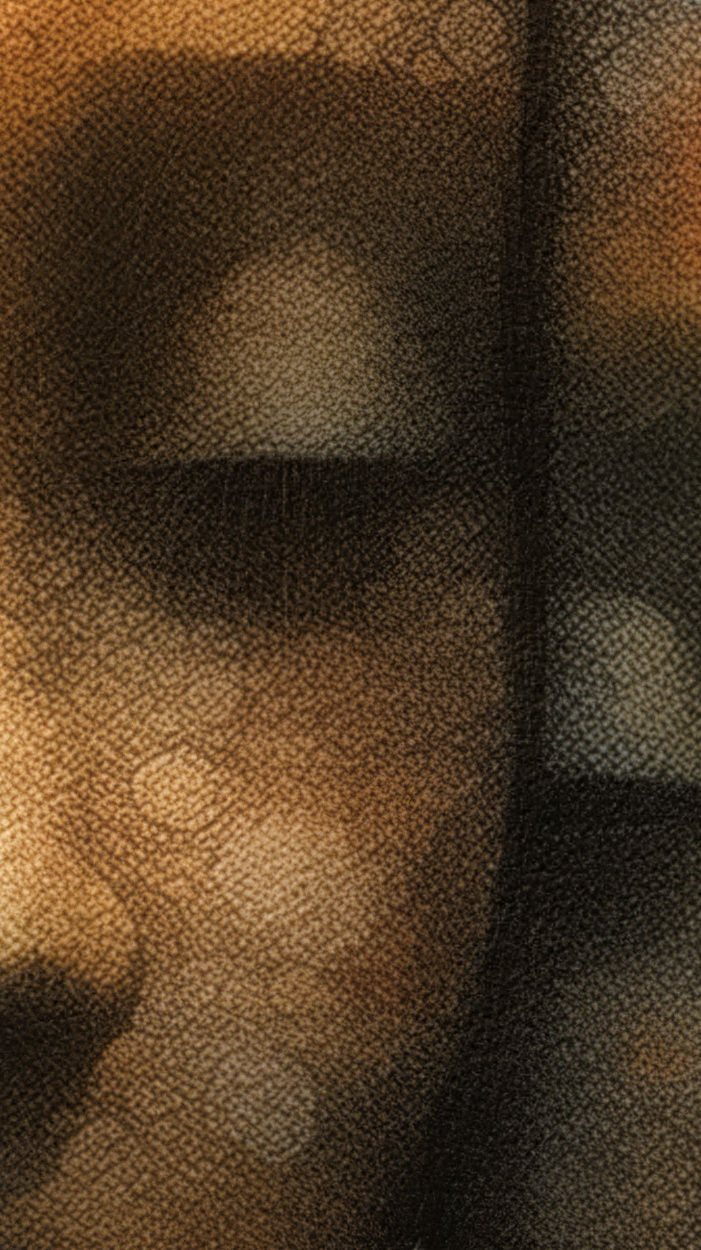 The Lines That Divide Us Extract