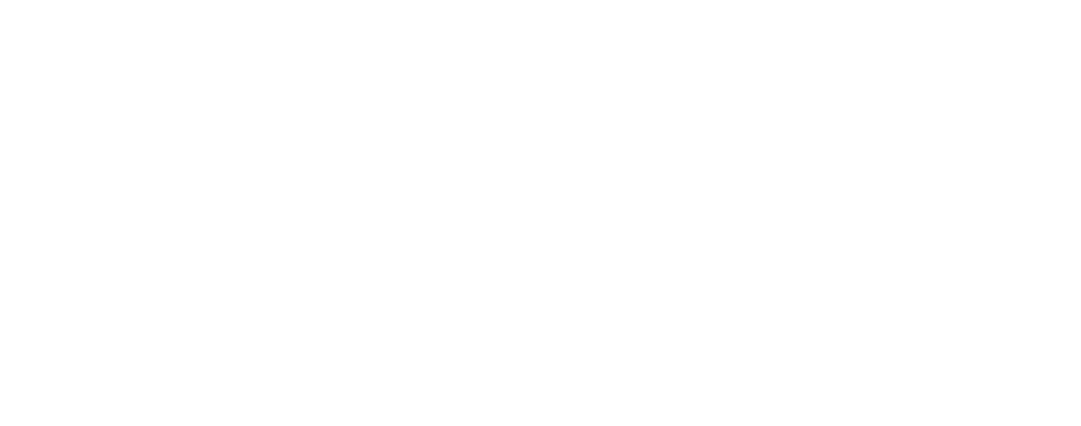 Liberta Partners Opportunities GmbH