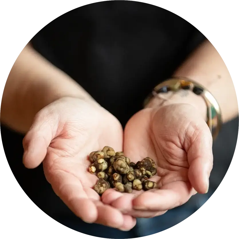 inner wisdom company truffel ceremonie