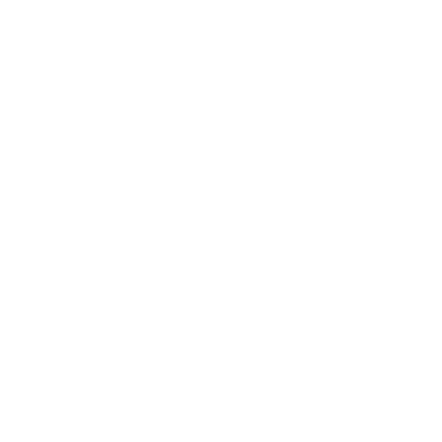 Icon Pin Nadel