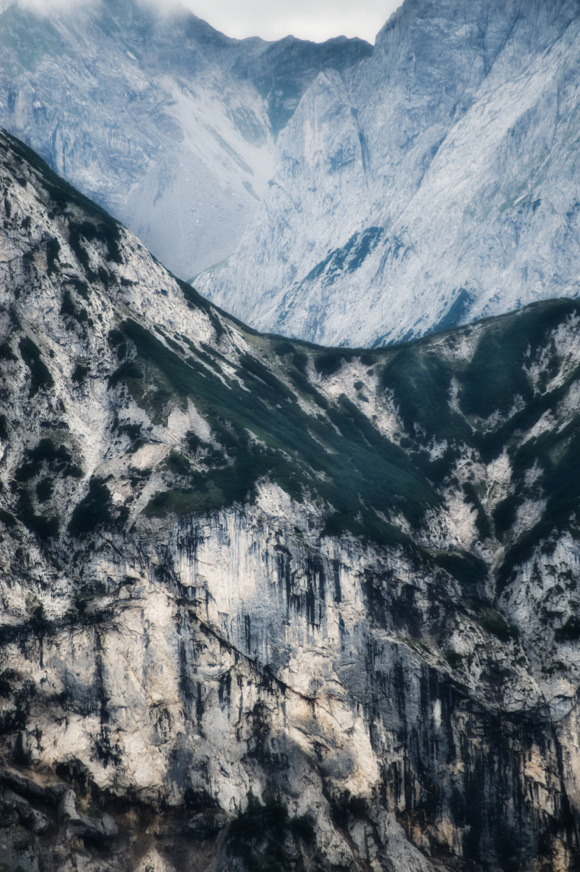 Beyond The Tree Line