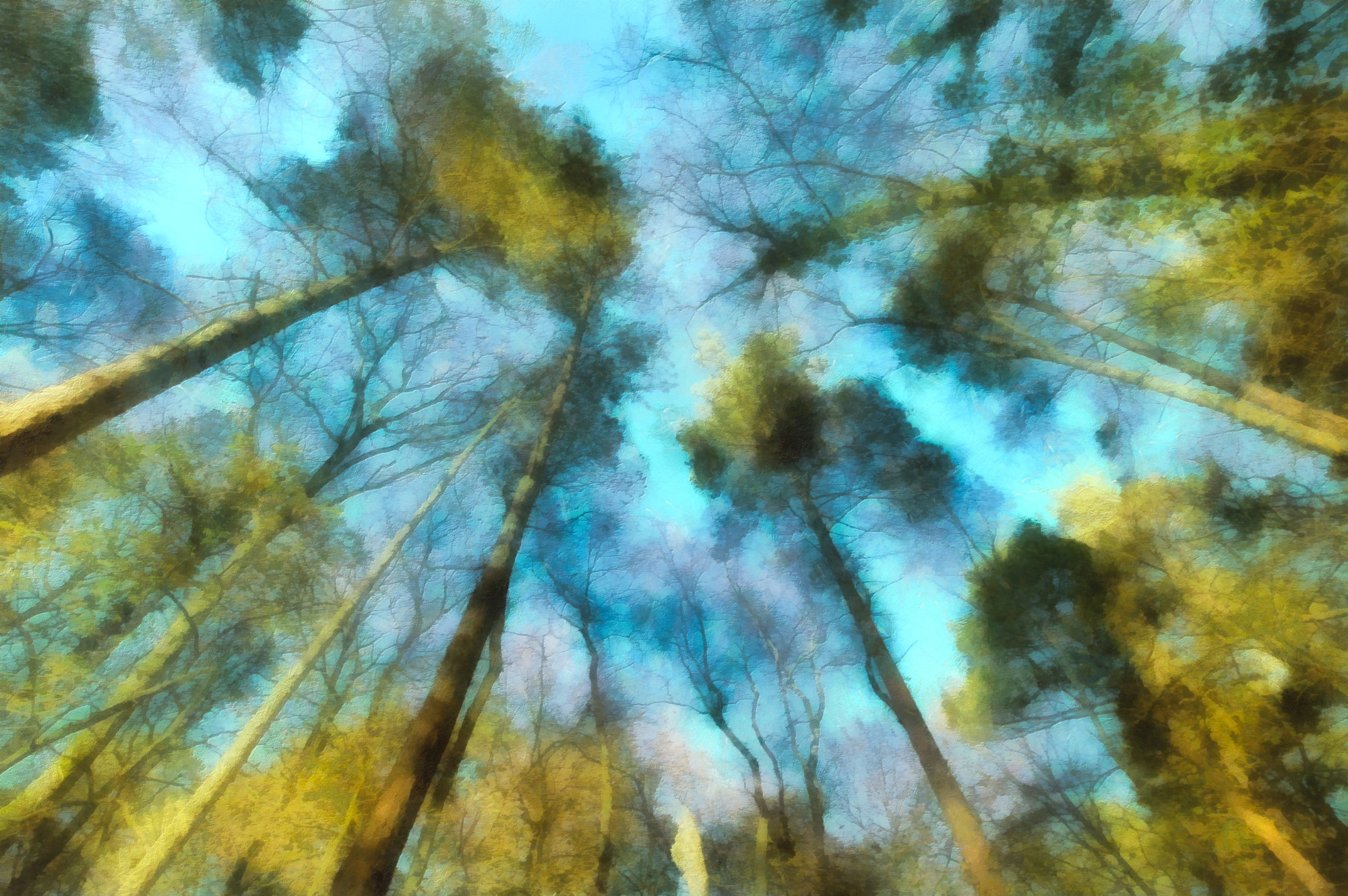 Breathe Deep This World