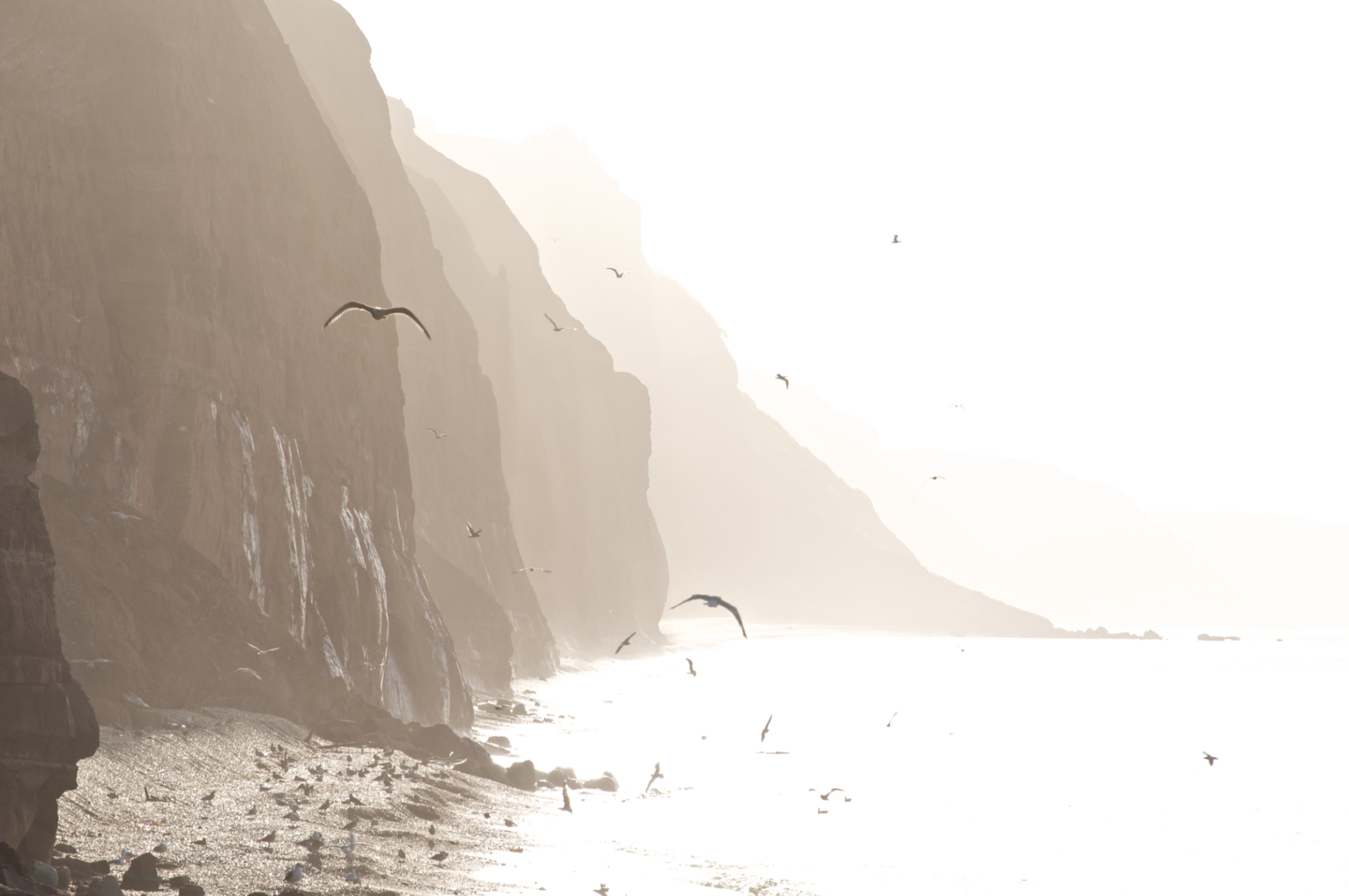 Salcombe Hill Cliffs