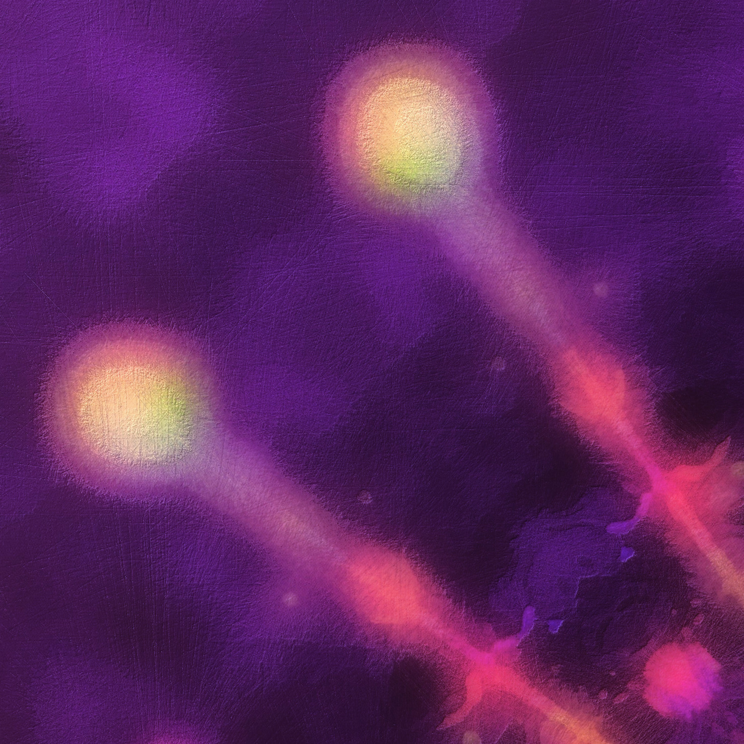 The Thread and Reach of Life Extract