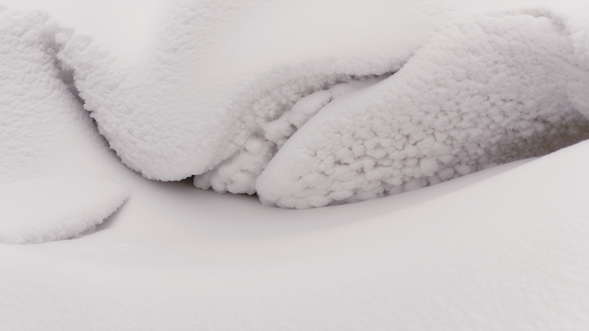 The Whale of Winter Rests