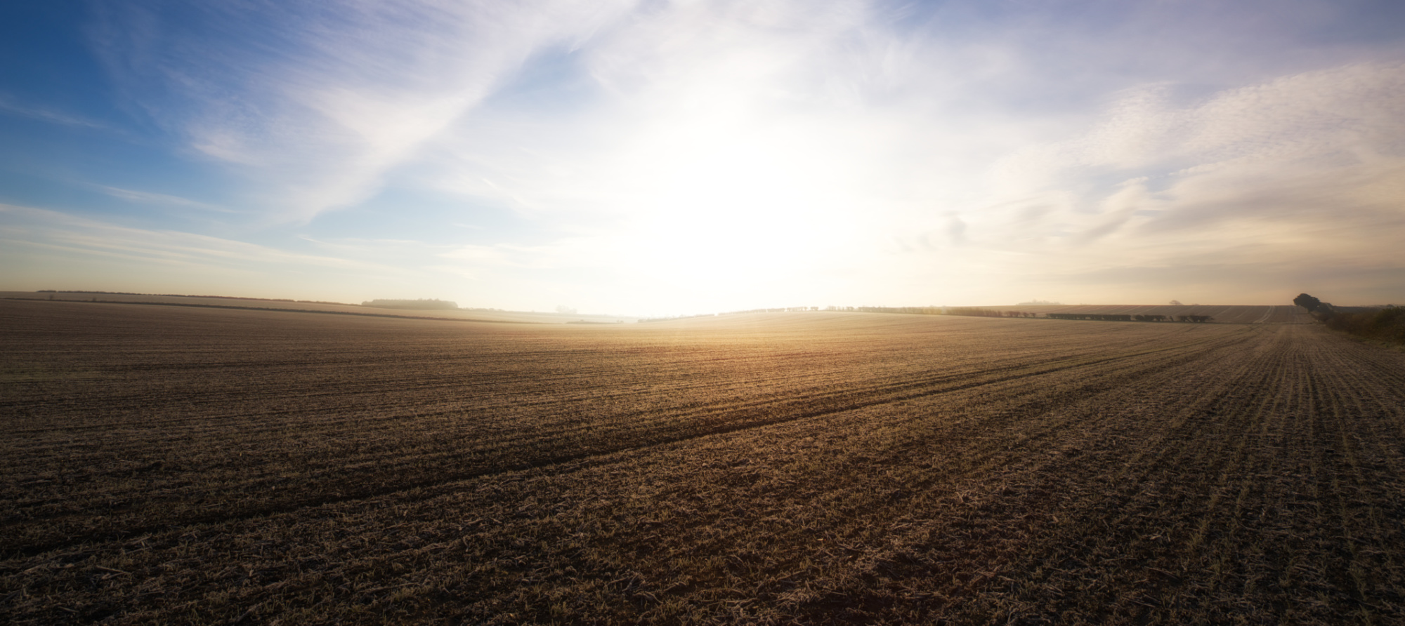 Warmth in Still of Winter