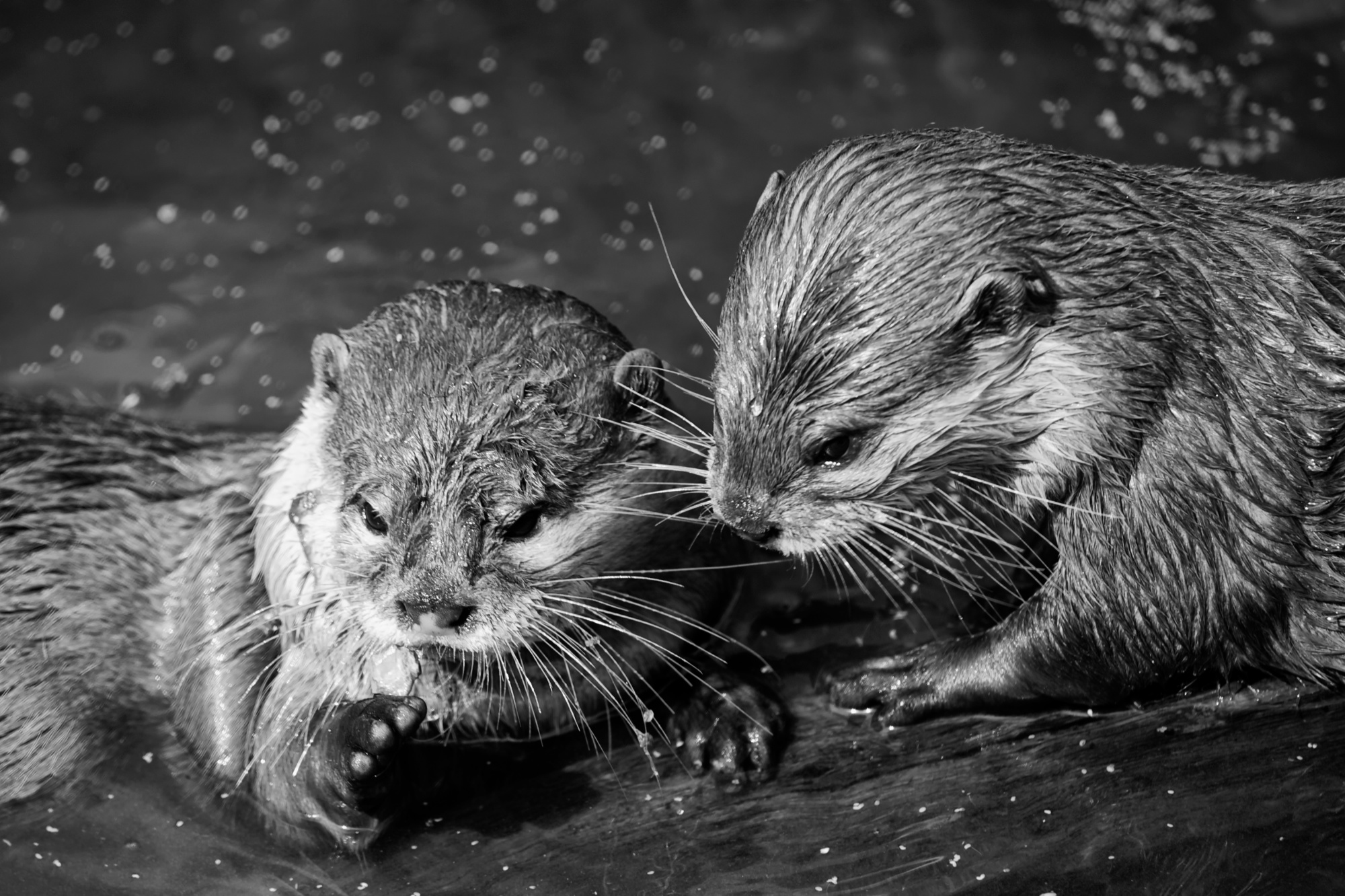 Will You Look At That