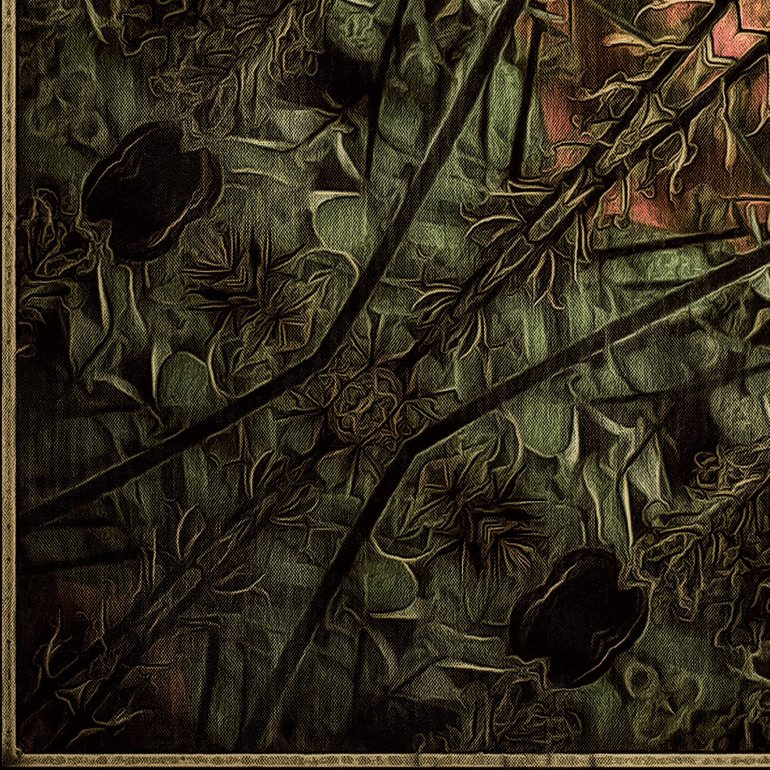 Winter's Flower Extract