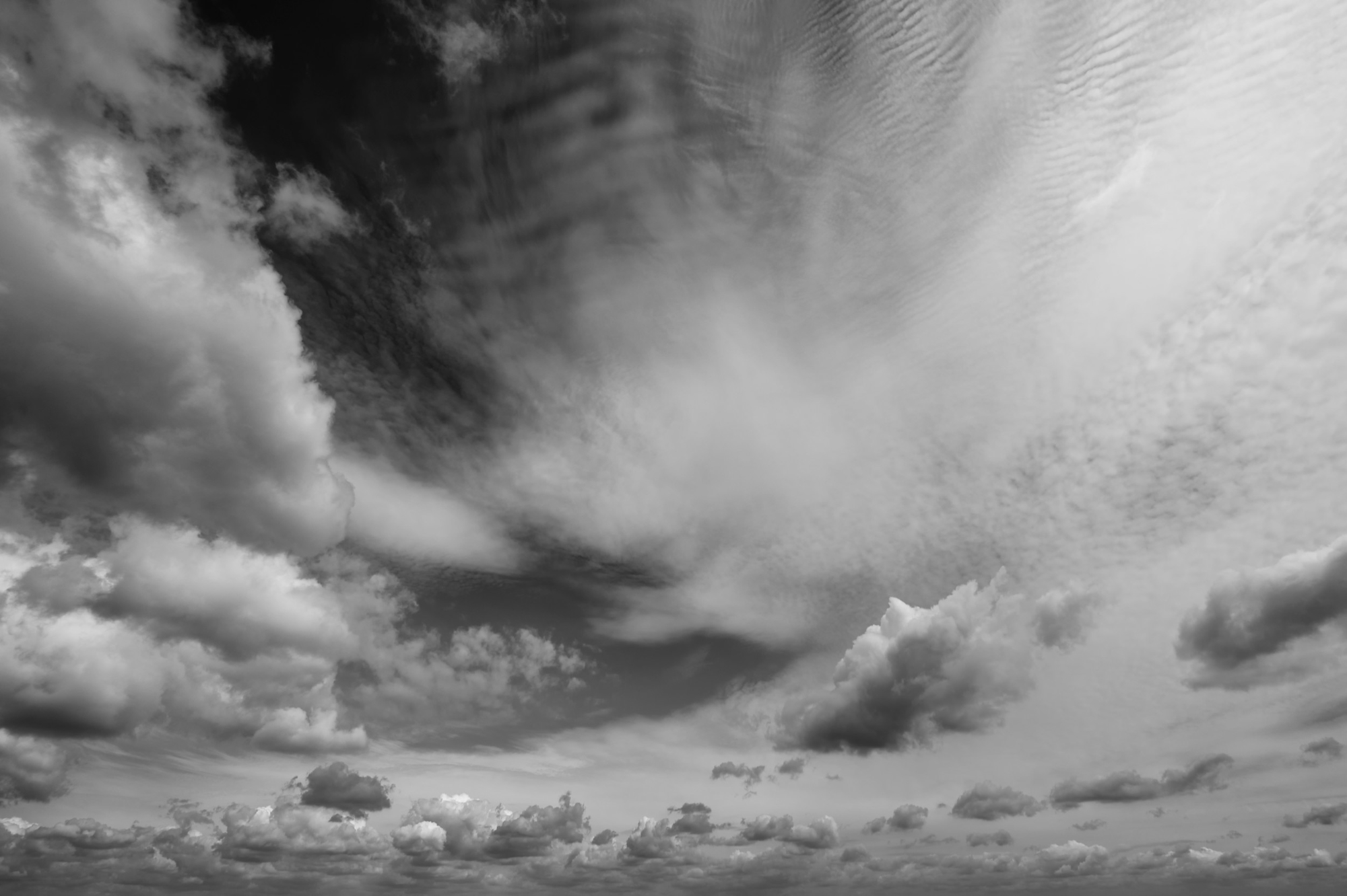 A Painter's Paradise