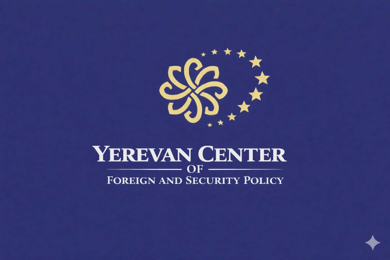 ycfsp.am