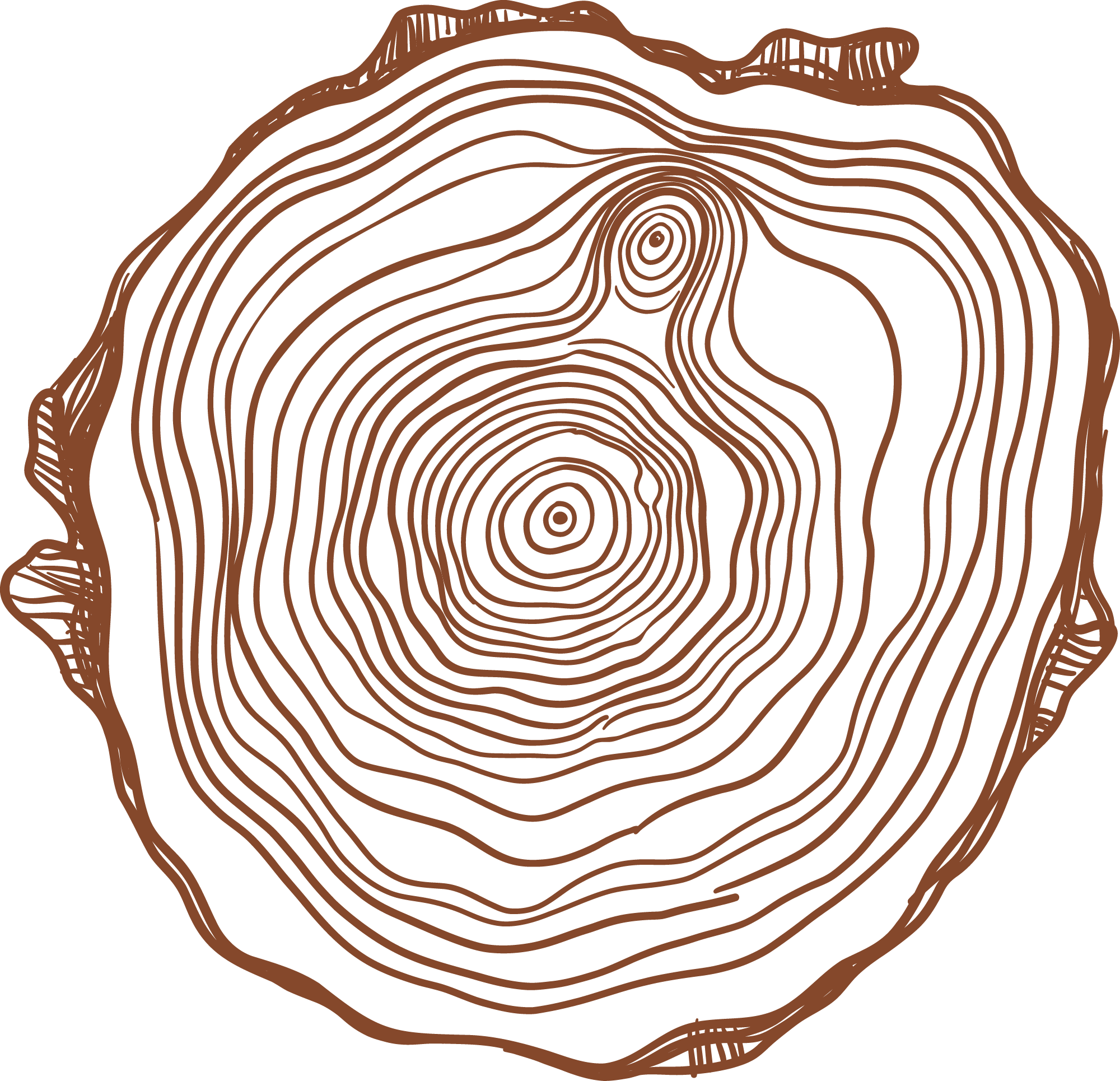 Illustration Baumstamm – Sägewerk & Holzwirtschaft in Angermünde
