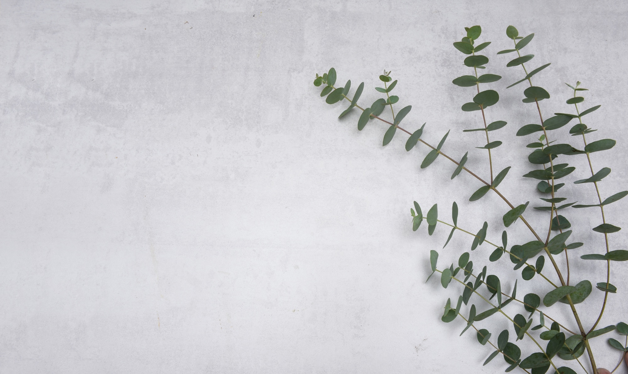 Fachärztin für Arbeitsmedizin – betriebliche Betreuung und Vorsorge