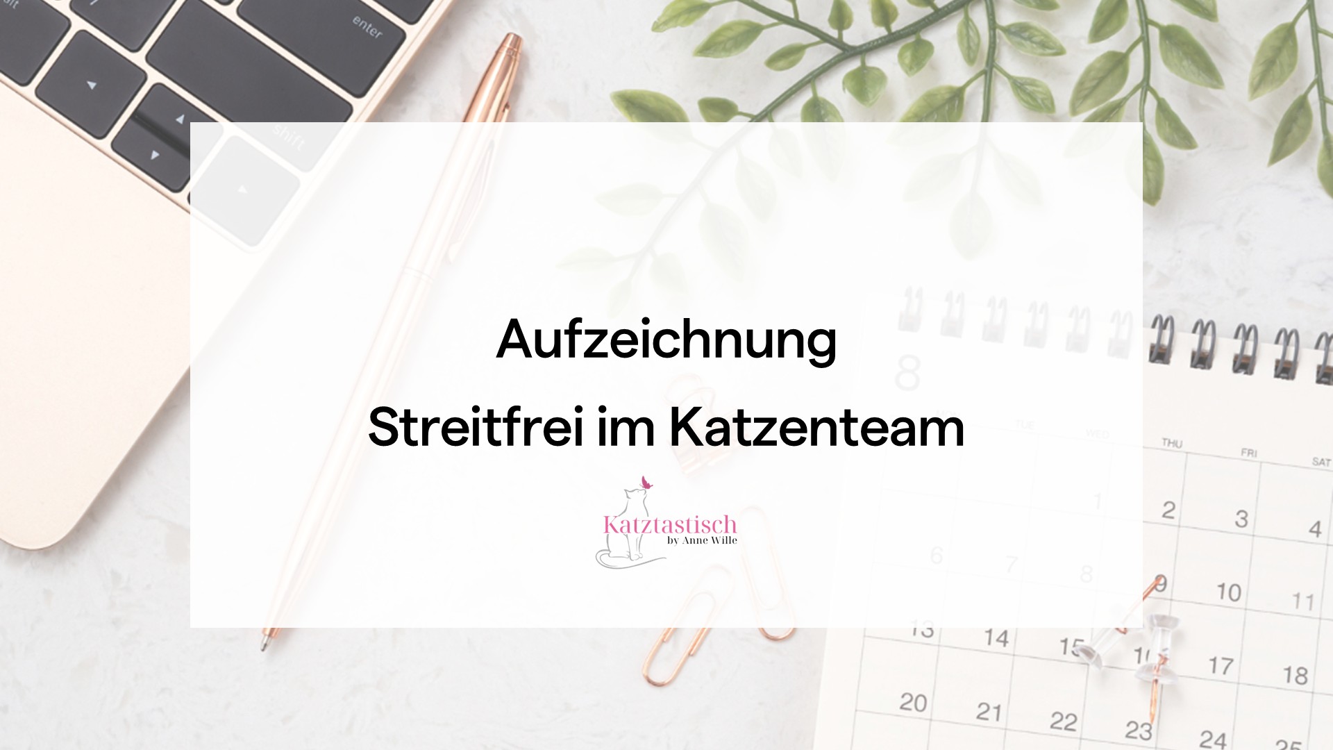 Aufzeichnung Webinar