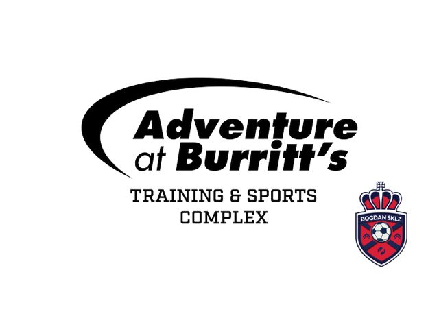 DNA Car Service and Sale logo