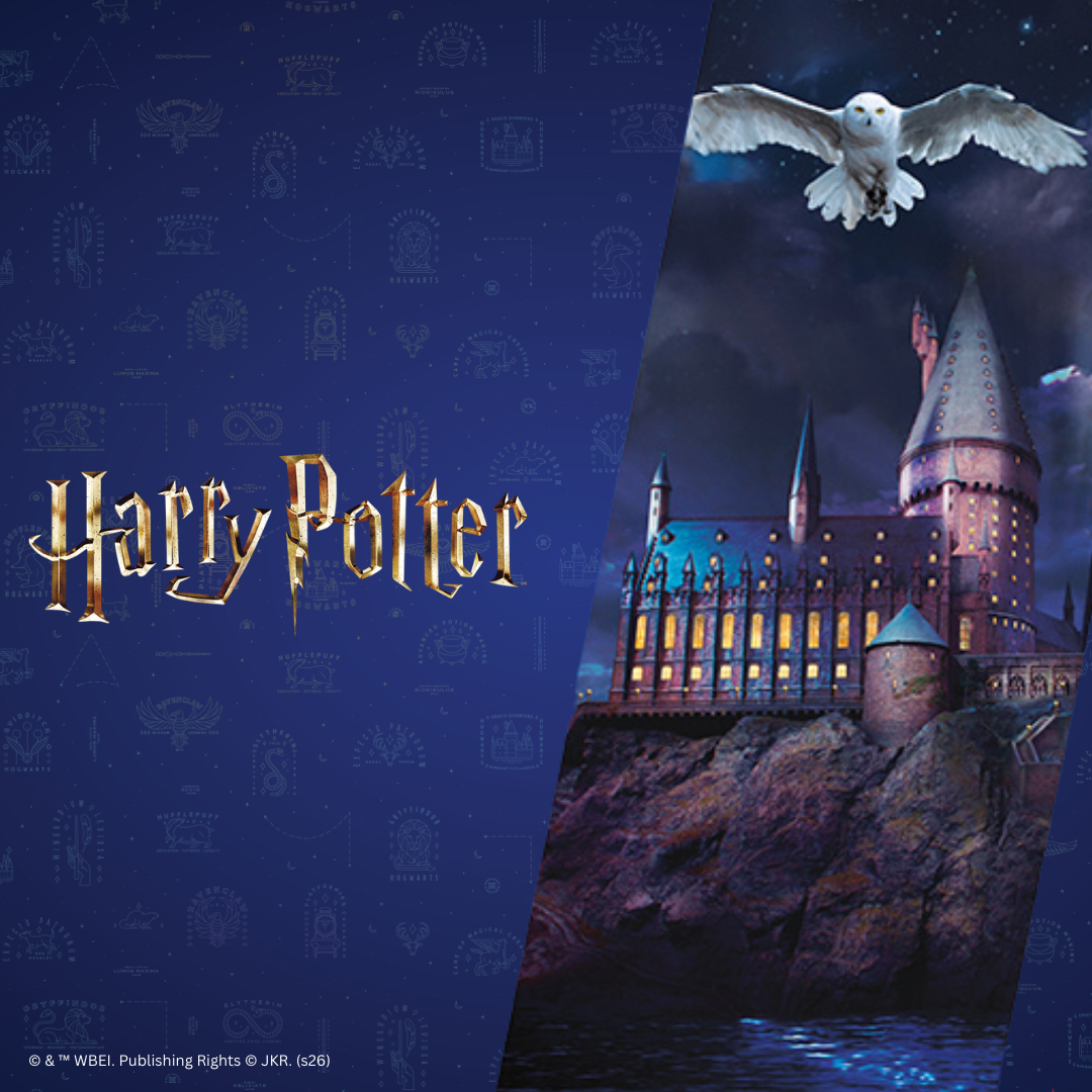 Harry Potter Franchise