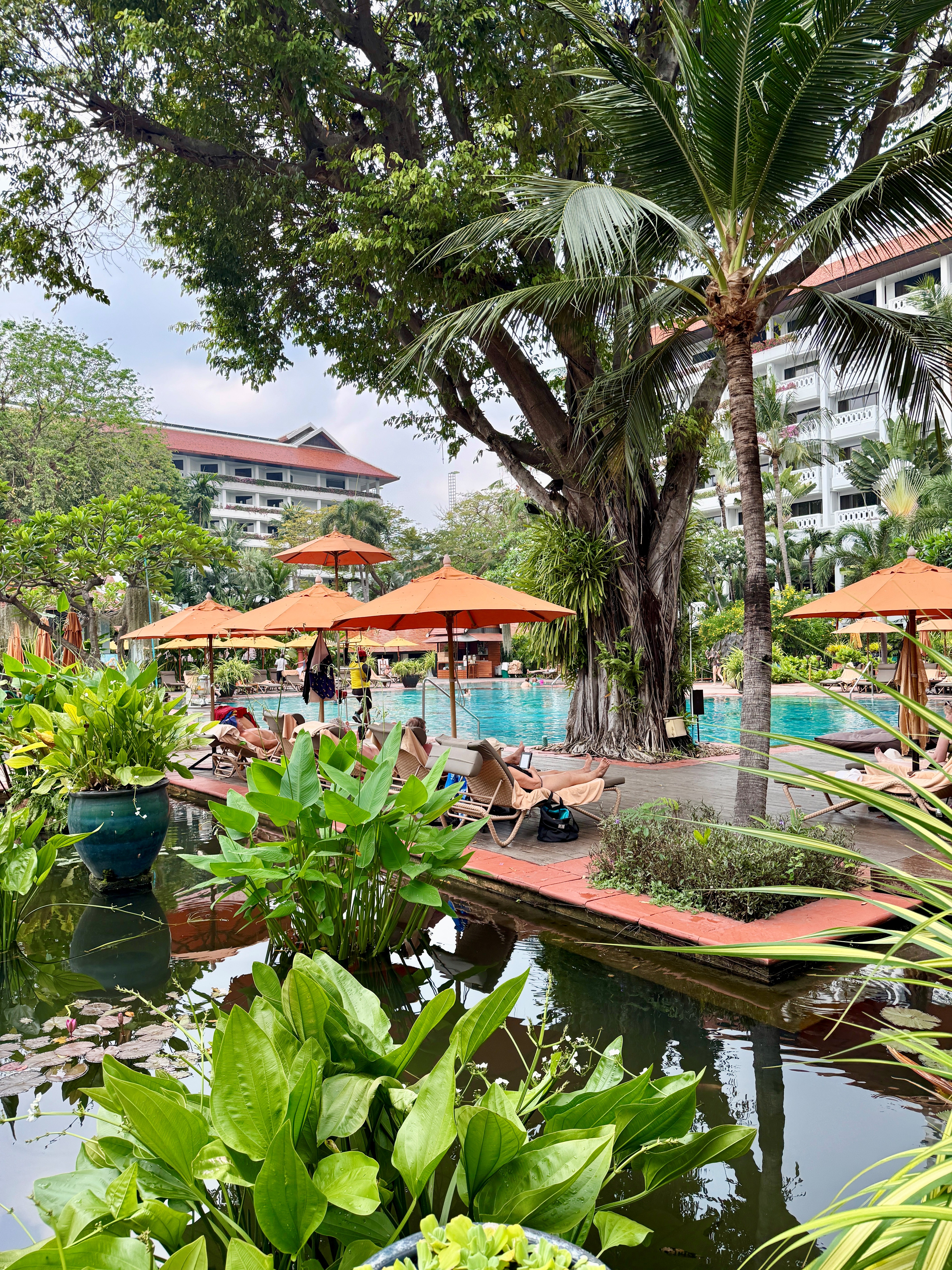 Hotel Feasibility Study