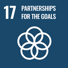 SDG 17 - Institutions Strengthening