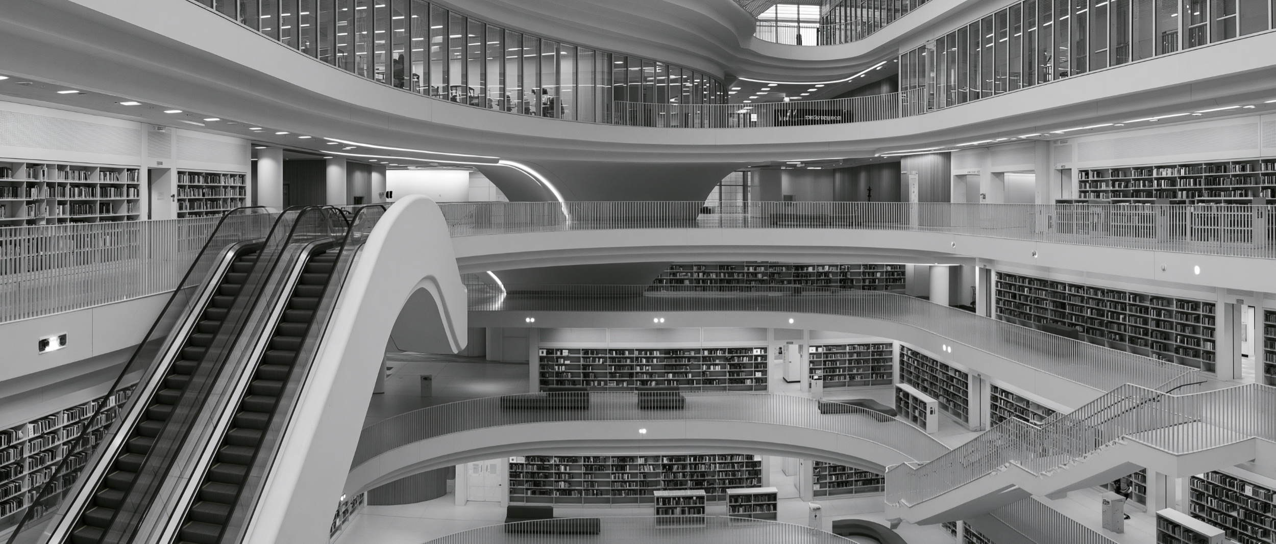 The Library