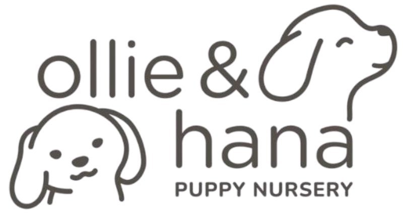 Ollie & Hana