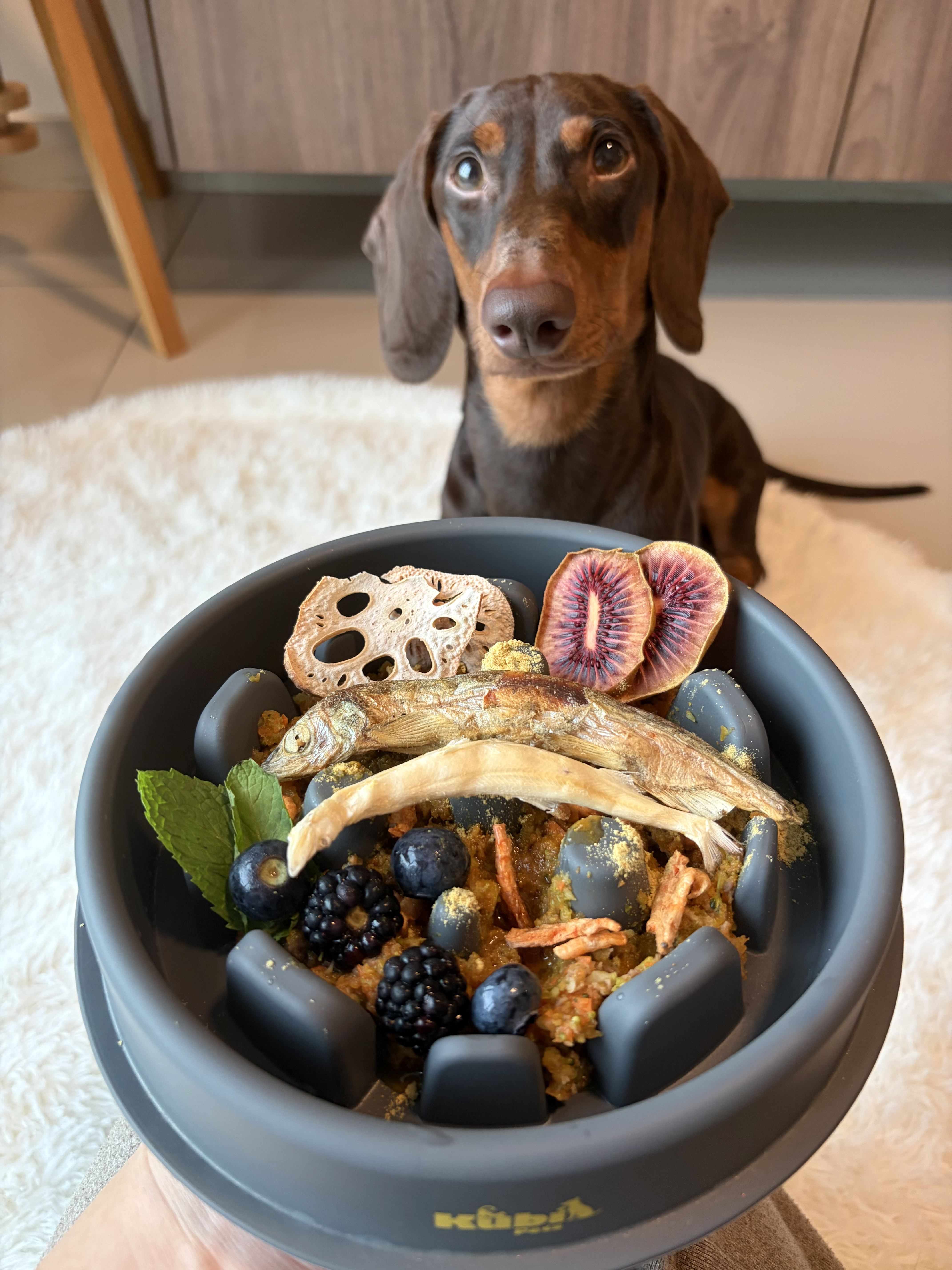 Paw Plates