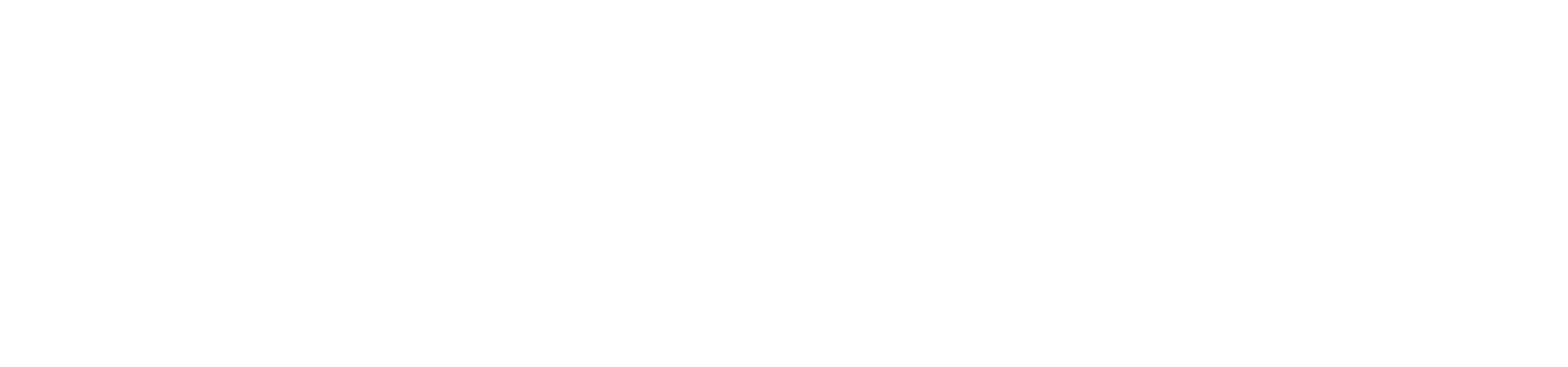 LA VISION MANAGEMENT Logo