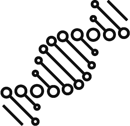 Epigenetik und Performance Icon