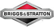 Logo Briggs & Stratton